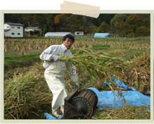 縫お円雑穀畑栽培機Photo