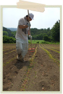 おだかわのうえんざっこくばたけ尾田川農園雑穀畑